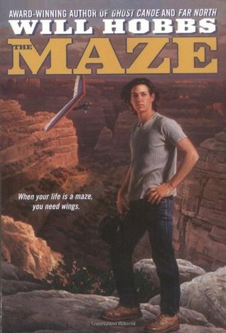 The maze