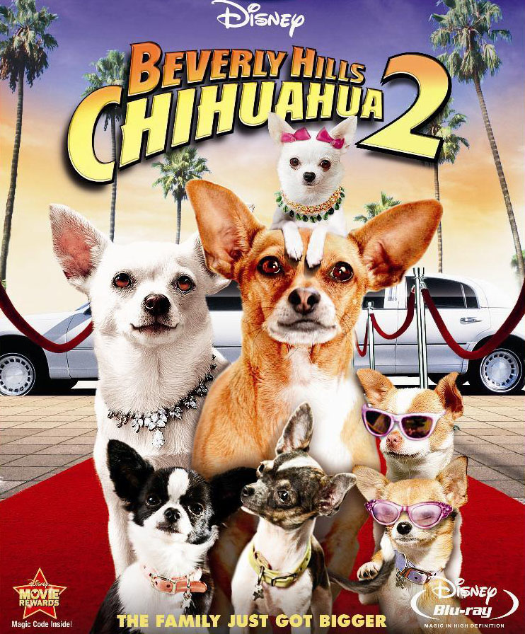 比佛利拜金狗[2][普遍級：劇情] : Beverly Hills chihuahua