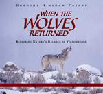 When the wolves returned : restoring nature