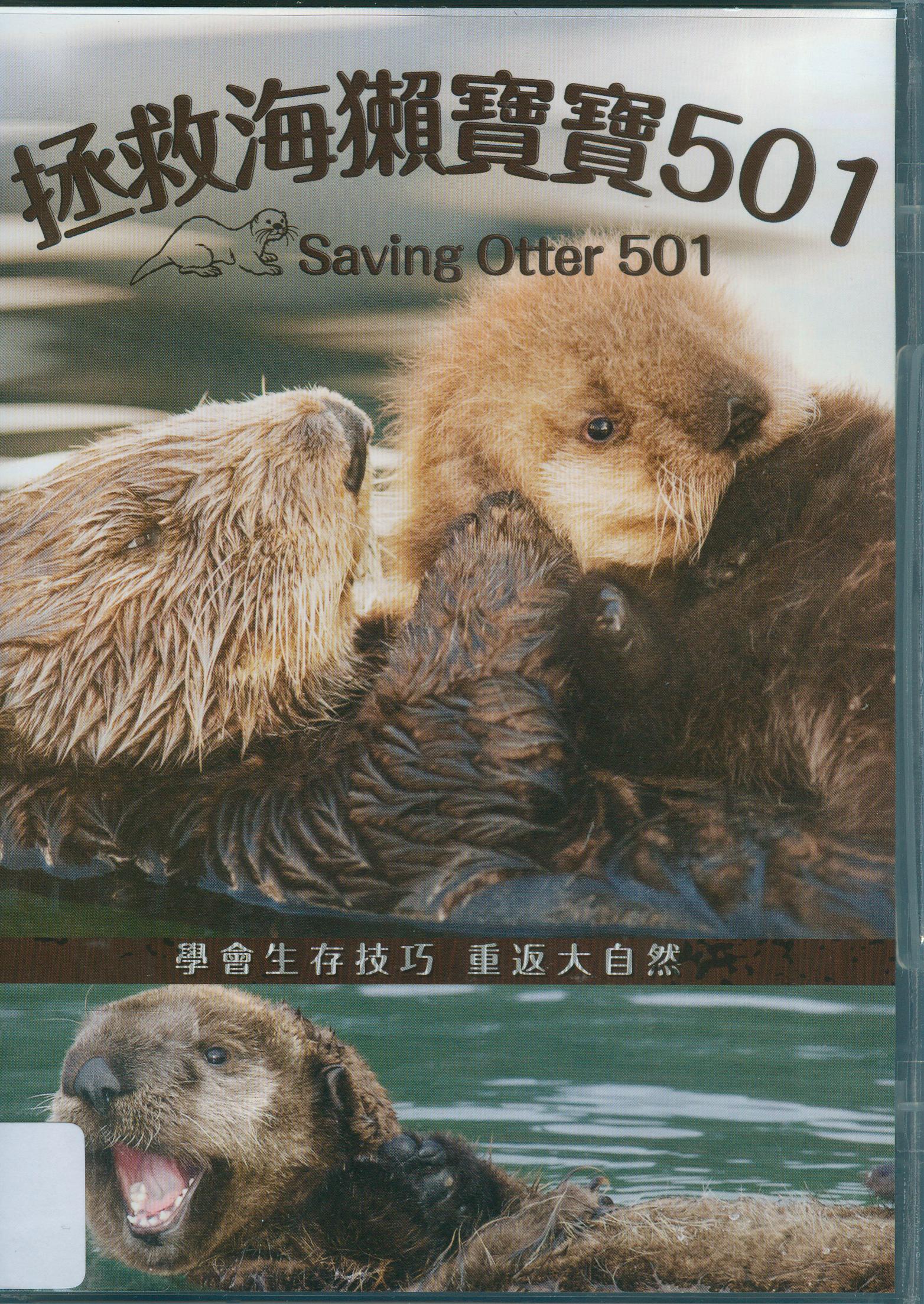 拯救海獺寶寶501 : Saving otter 501