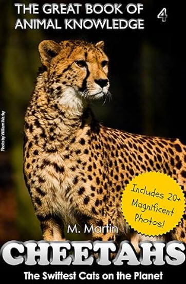 Cheetahs : the swiftest cats on the planet