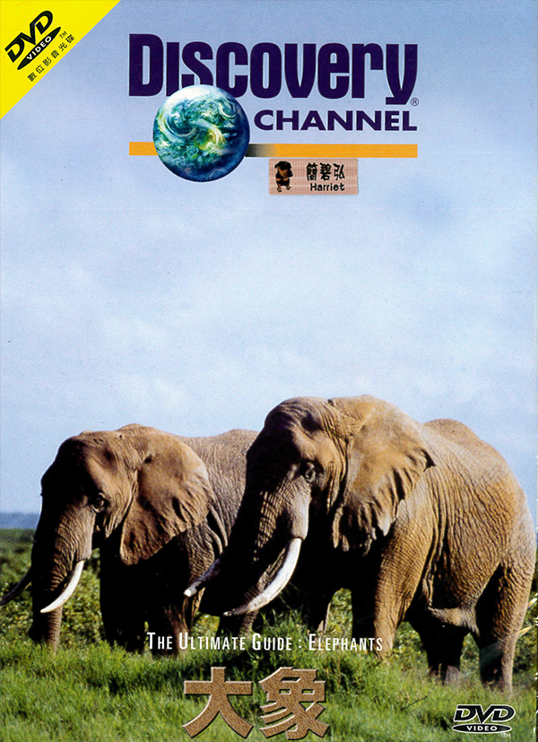 大象 : Discovery Chammel:The Ultimate Guide: Elephants