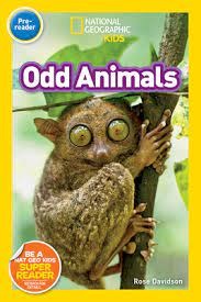 Odd animals