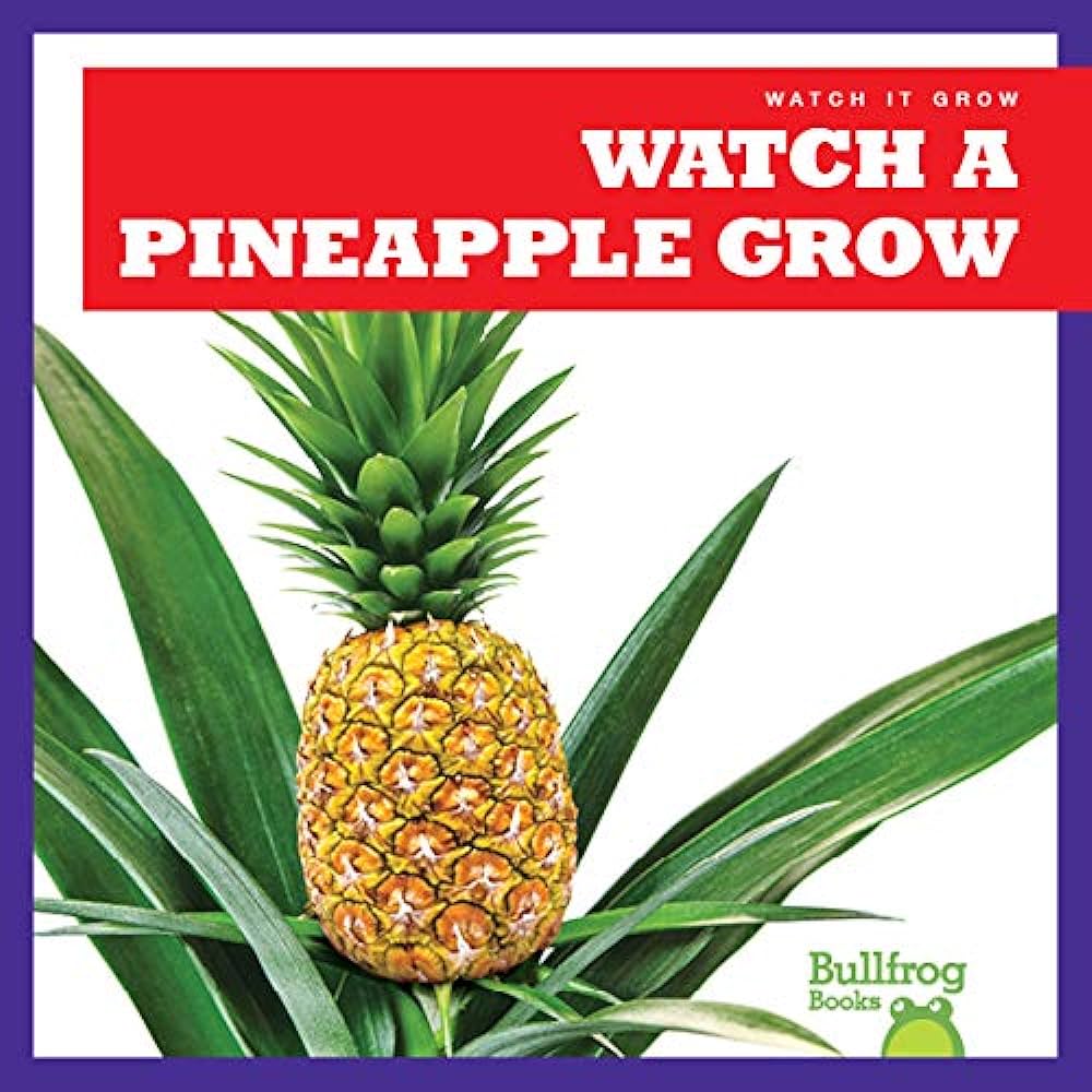 Watch a pineapple grow