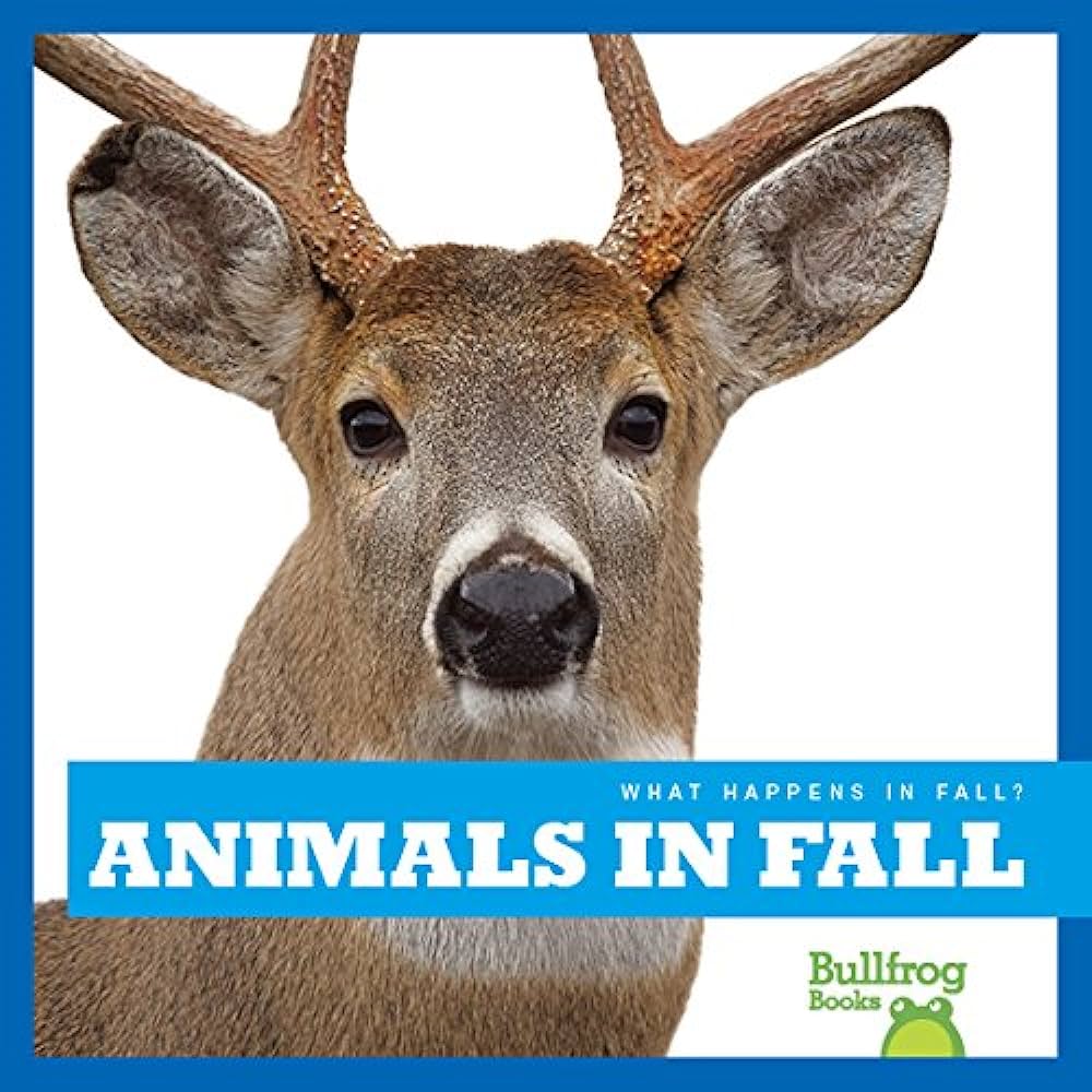 Animals in fall