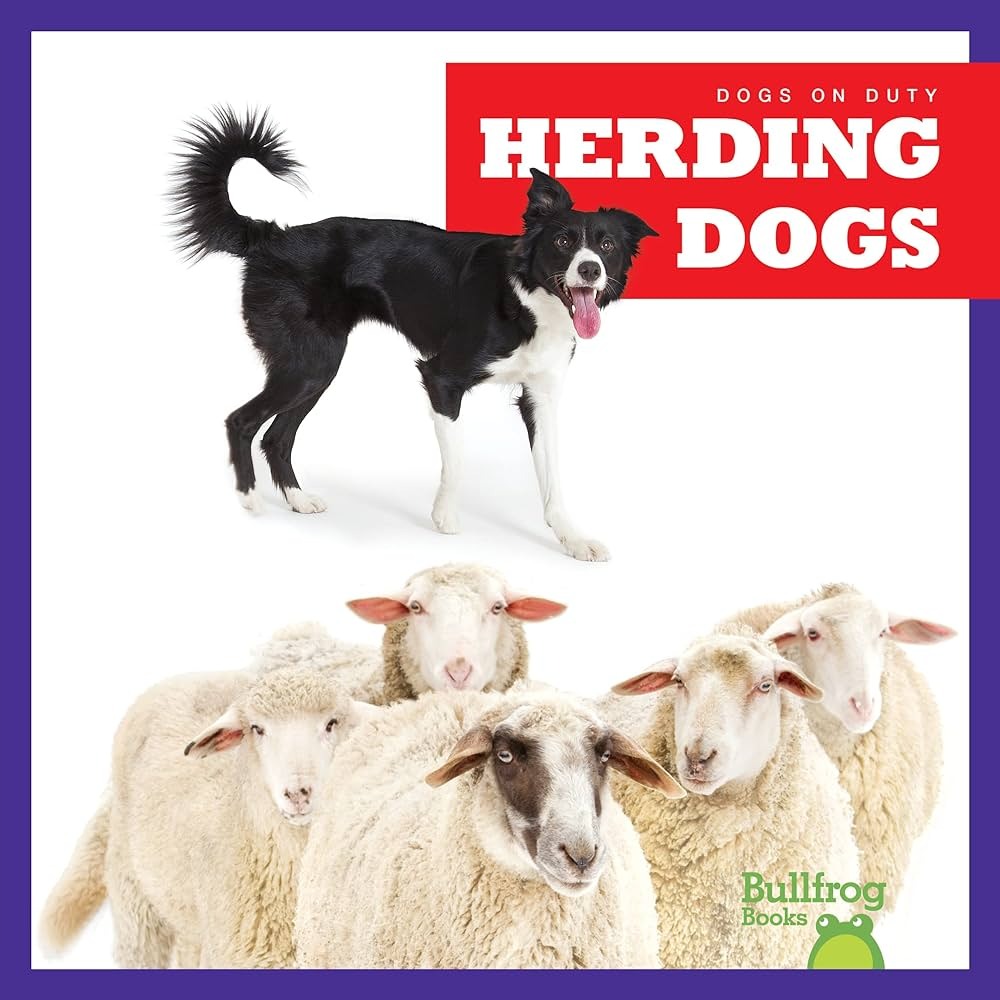 Herding dogs