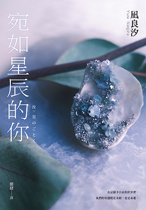 宛如星辰的你