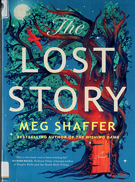 The lost story : a novel