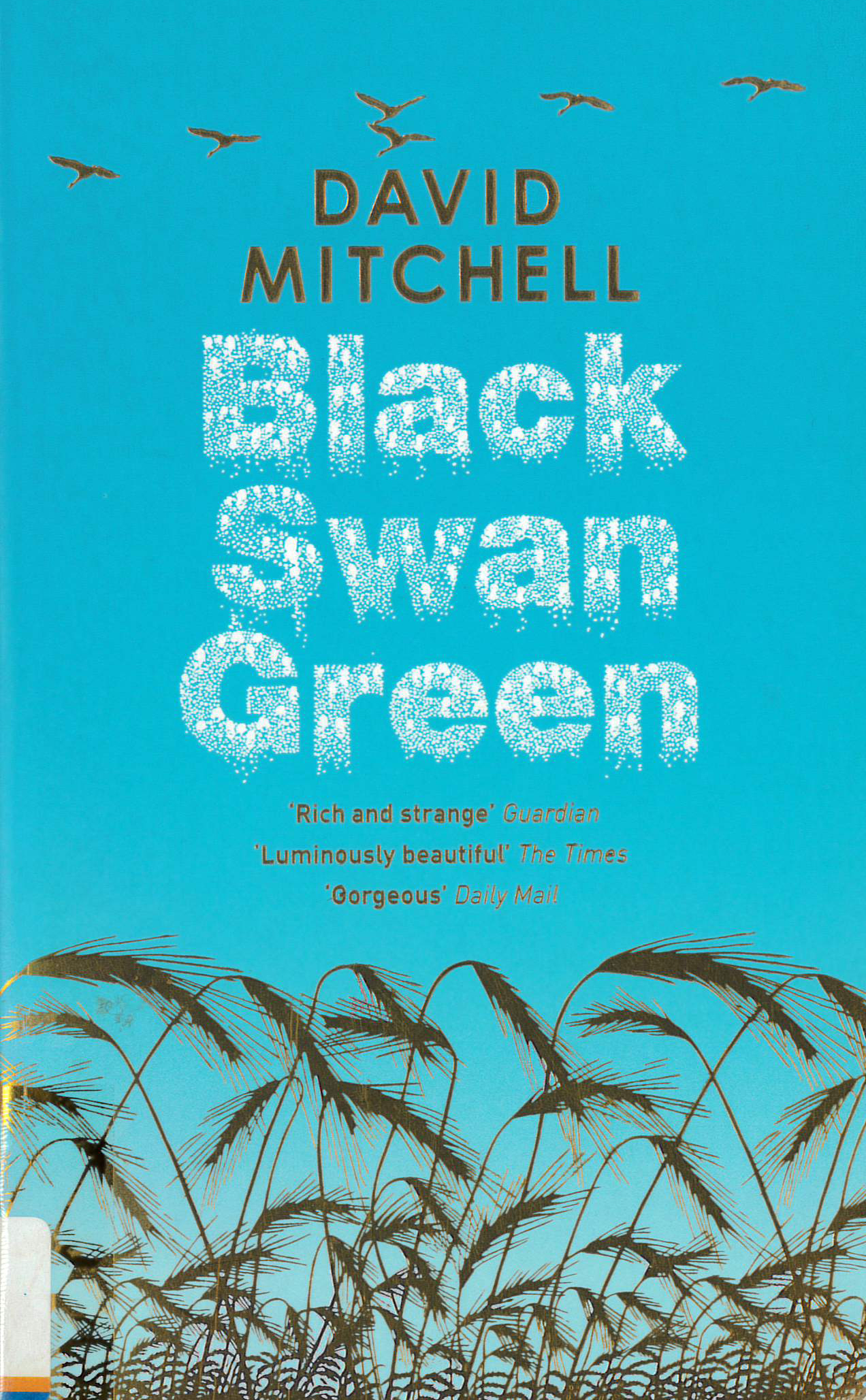 Black swan green