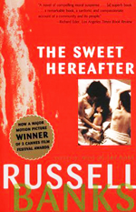 The sweet hereafter  : a novel