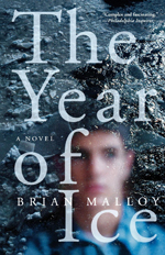 The year of ice  : a novel