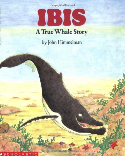 Ibis  : a true whale story