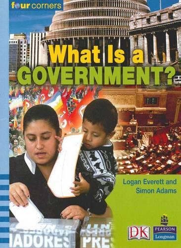 What is a government?