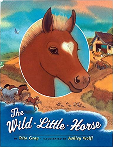 The wild little horse