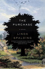 The purchase  : [a novel]