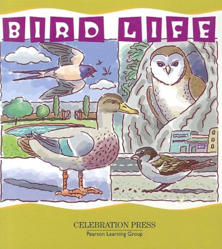 Bird life