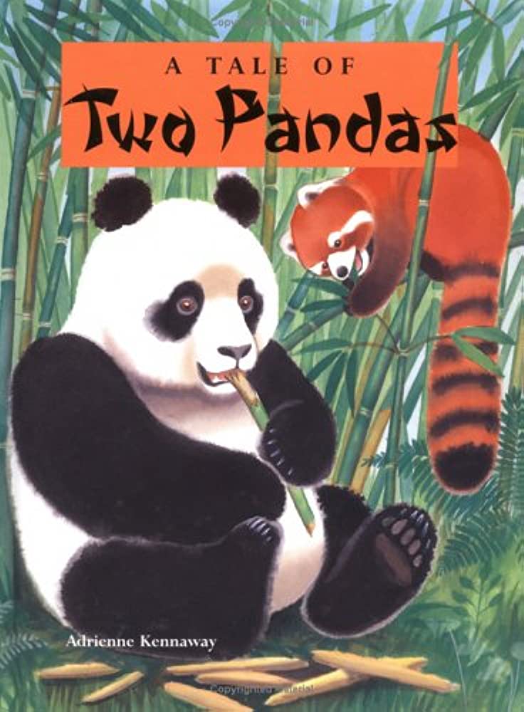 A tale of two pandas