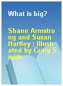 What is big?